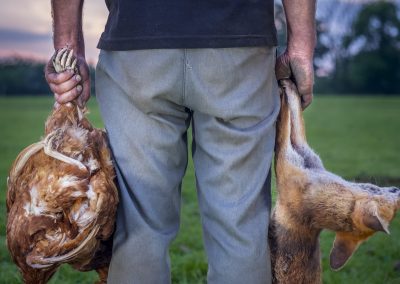 C11_2_NPOTY-2018_Neil-Aldridge_Justice-nature_photographer_of_year_2018