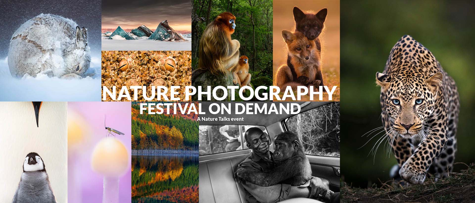 opbevaring Plateau Site line International photo competition - Nature Photographer of the Year 2021