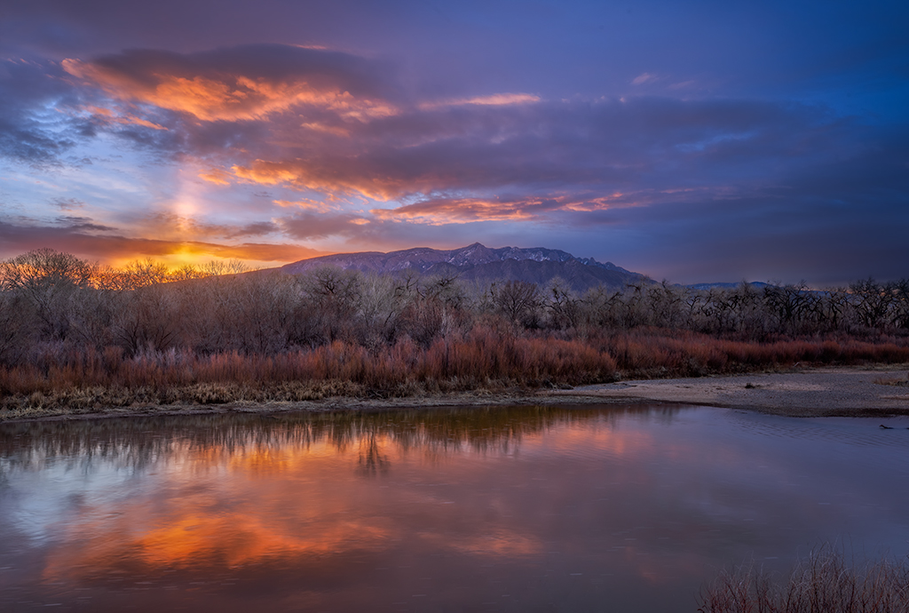 NPOTY Interview Pam Dorner Nature Talks