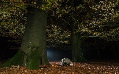 Nature photographer Ernst Dirksen about raising the bar and inventing oneself over and over