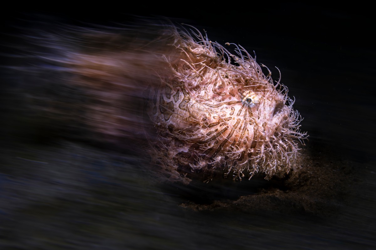 116133_Dmitry_Kokh_The_Ice_Grin