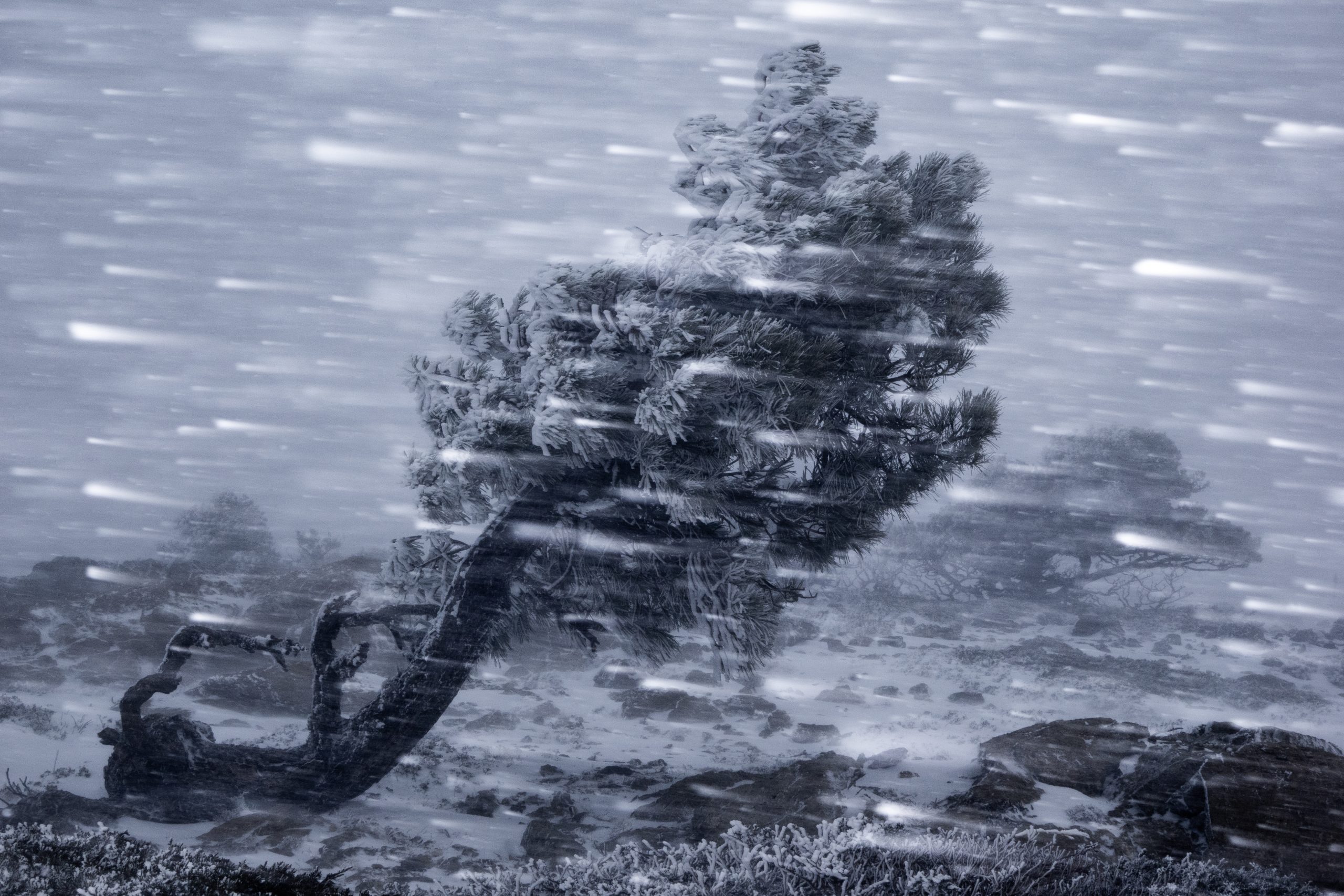 HC_ 109541_Andrea_Pozzi_The perfect marriage